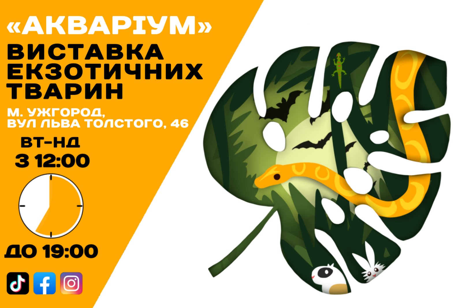 Реклама A5