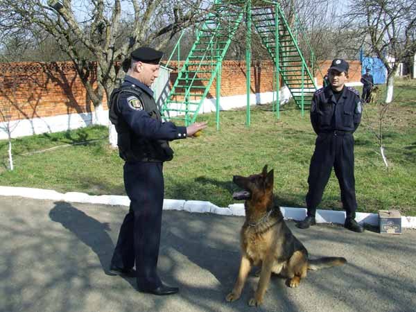 У Мукачеві відкрили новий кінологічний центр міліції