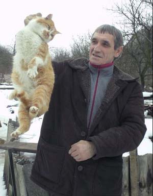 В семье закарпатцев живёт кот, рождённый трёхлапым