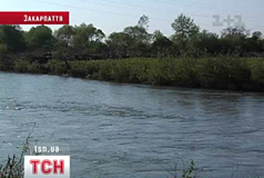 В Румынии случился выброс тяжёлых металлов в Тиссу. Мёртвая вода - уже на Закарпатье