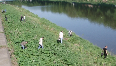 В Ужгороде проходит День благоустройства