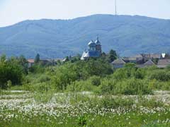 "Большая родня" по-закарпатски