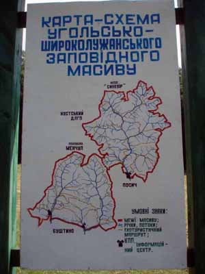Швейцарцы начинают инвентаризацию закарпатских буковых пралесов