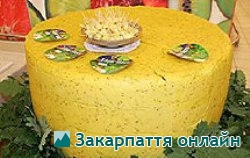 За счет организаторов фестиваля "Молочная река" участники получат санитарную книгу и ветобследование скота