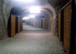 Долю Української алергологічної лікарні в Солотвино вирішать урядовці