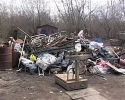 В Ужгороді вандали порізали на шматки мідного лелеку з парку відпочинку