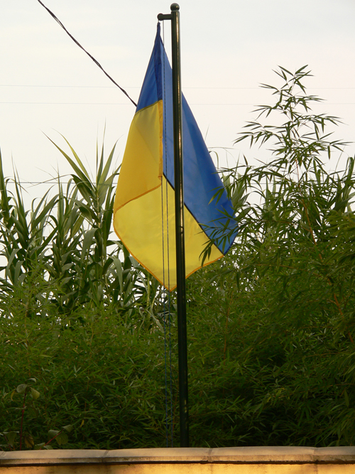 Мій прапор моєї країни
