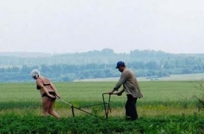 Тіло офіри