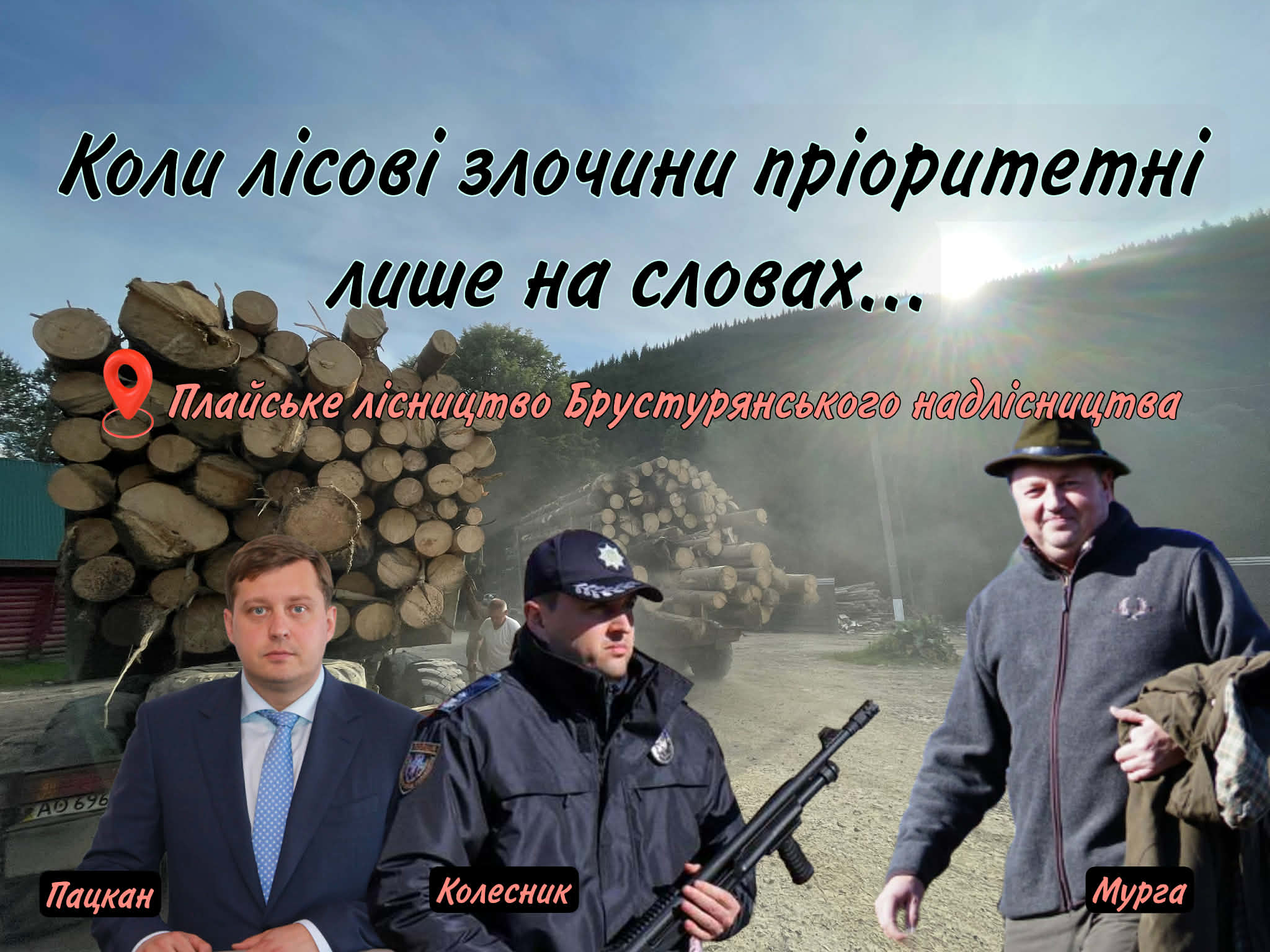 На Закарпатті правоохоронці ігнорують порушення внесення даних у електронну систему обліку деревини у Брустурянському надлісництві (ФОТО, ВІДЕО)