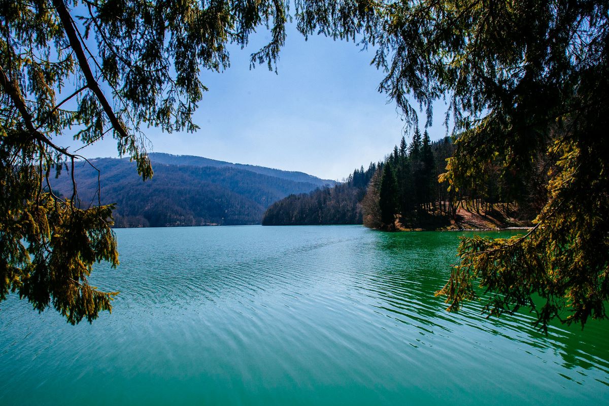 Берег Закарпатського Моря – ландшафтний заказник (ФОТО)