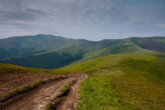 Полонина Боржава (ФОТО)