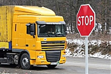 На Закарпатті на кордоні Держекоінспекція затримала 14 автомобілів