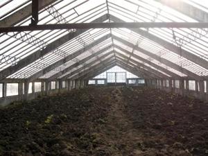 У Сваляві відновлюють комунальні теплиці