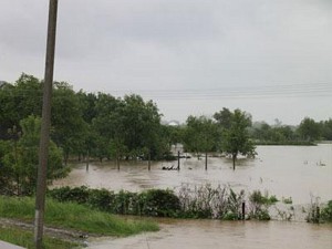 В Ужгороді позачергово засідала обласна комісія з питань техногенно-екологічної безпеки та НС