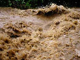 МНС попереджає про лавини та підвищення рівнів води в річках Закарпаття