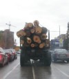 Ужгородський Боздоський парк вирубують і здають на металобрухт (ФОТО, ВІДЕО)