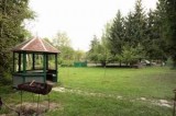 На Закарпатті мисливські угіддя передадуть у користування громадським організаціям? 