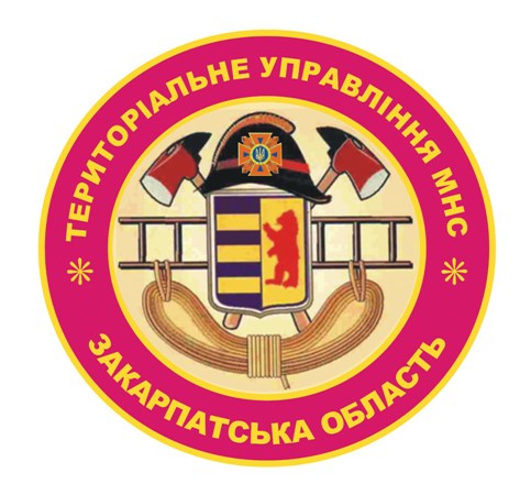 На Тячівщині чоловік упав у криницю