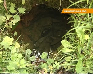 Закарпатські селяни шукають інвестора для мінеральної води (ВІДЕО)