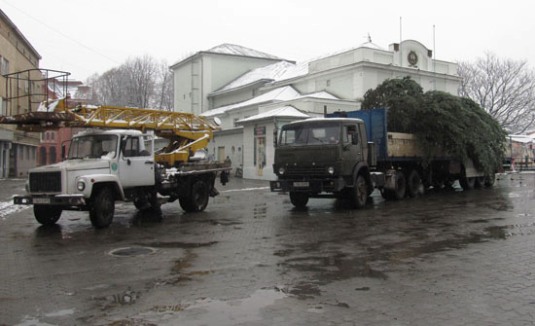 В Ужгород на Театральну привезли головну ялинку міста (ФОТО)