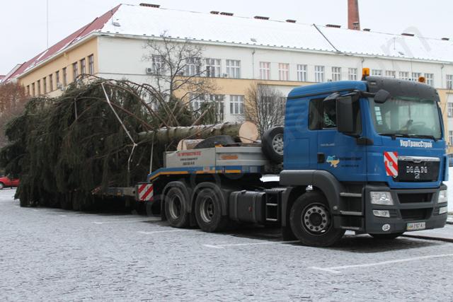 В Ужгород привезли головну ялинку Закарпаття (ФОТО)