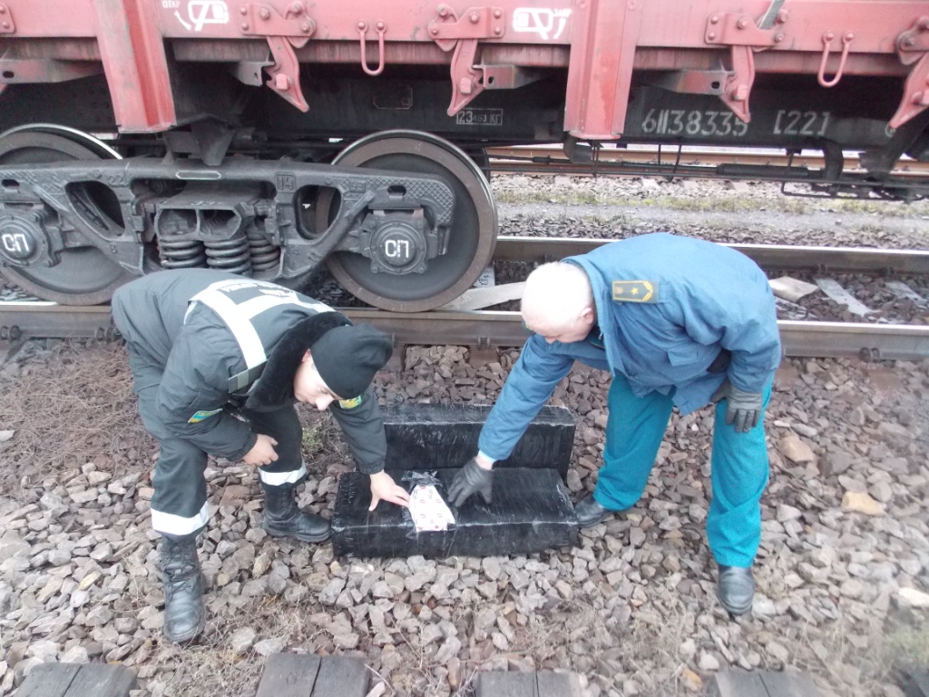 На Закарпатті собака допоміг виявити контрабандні сигарети в потязі(ФОТО)