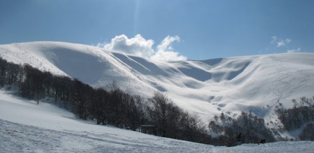 Каськів планує Олімпіаду-2022 на Закарпатті на землях своїх родичів
