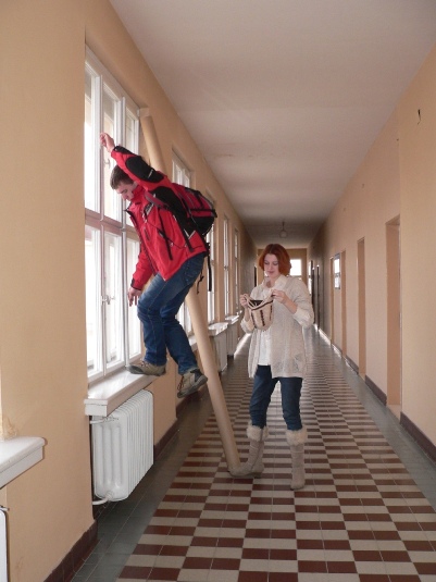 В Закарпатську ОДА злетілися кажани (ФОТО)