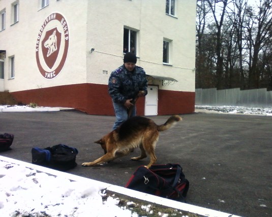 У кінологічному центрі в Ужгороді відбувся День відкритих дверей (ФОТО)