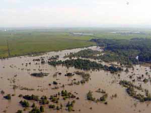 На Закарпатті очікується підвищення рівня води у річках