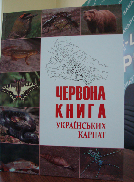 Затвердили «Червоний список» тварин Закарпаття