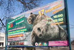 У півфінал Чемпіонату України потрапили дві закарпатські команди КВН 