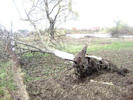 Учора надвечір Виноградів "пошматував" ураган (ФОТО)