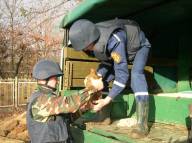 На Ужгородщині чоловік під час земельних робіт знайшов артилерійські снаряди