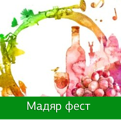 Закарпатський "Рокаш" виступив на "Мадяр FEST" у Львові (ФОТО, ВІДЕО)
