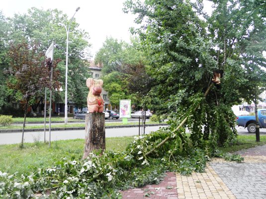 Найближчі кілька днів буря на Закарпатті не очікується — синоптики