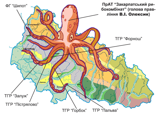 Озерний спрут Закарпаття