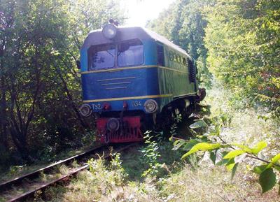 Балога пропонує передати Боржавську вузькоколійку Закарпаттю