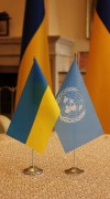 ООН виділить 250 тисяч доларів на реалізацію проекту управління бюджетами Закарпаття