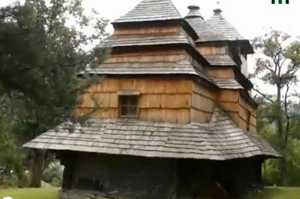 В Ужгороді відкрилася фотовиставка дерев