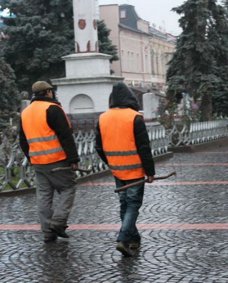 У Мукачеві комунальники знову відловлювали бродячих собак варварськими методами (ФОТО)