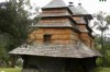 В Ужгороді відкрилася фотовиставка дерев