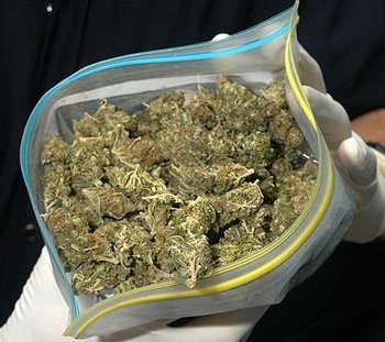У мешканця Перечина вилучили півкілограма марихуани