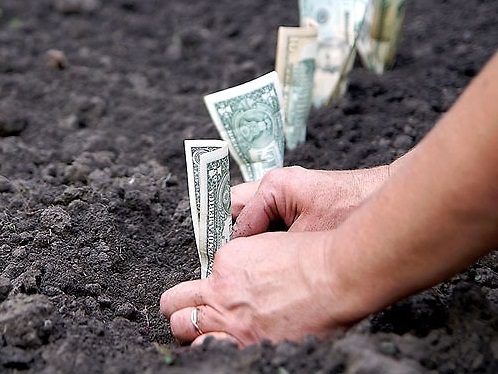 На Закарпатті продали землі на 18,9 млн гривень