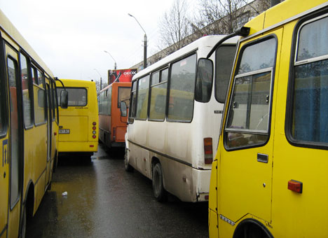 На Закарпатті ДАІ взялася за перевізників