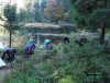 У НПП «Синевир» прибирали Дике озеро (ФОТО)