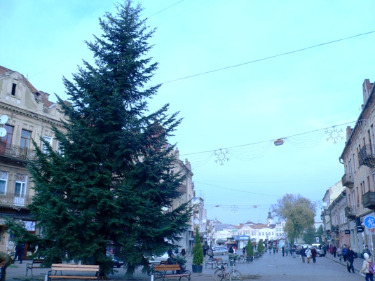 ФОТОФАКТ. Площа Петефі в Ужгороді вже з ялинкою, однак, прикрашатимуть її дещо пізніше