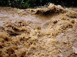 На більшості річок Закарпаття вже пройшли максимальні рівні води