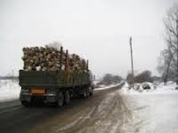 Прокуратура перевіряє причини "лісового" бунту селян Тур’я Бистрої