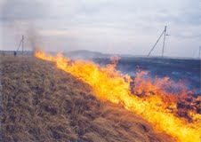 Закарпатцям пояснили, в що обходиться самовільне спалювання сухої трави